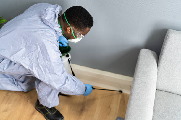 Professional Pest control in Beecher, IL